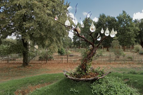 L'arbre aux gouttes de verre