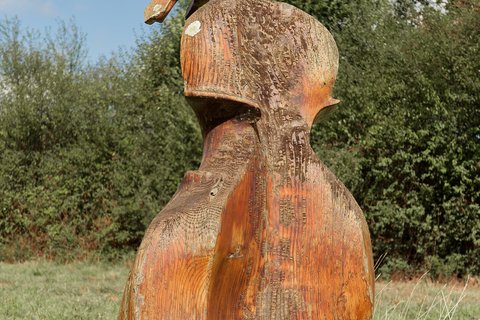 Le violoncelle
