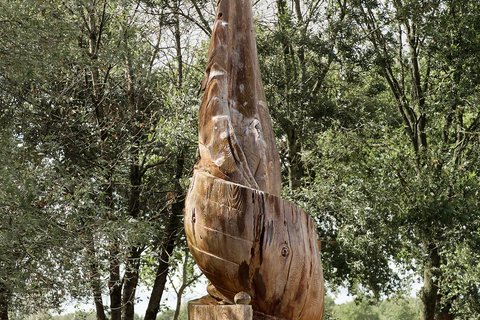 La spirale de bois sous les arbres