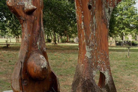 Les deux torses