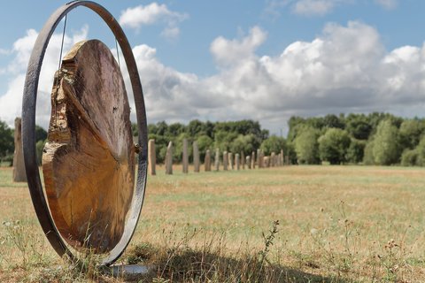 L'anneau au disque de bois