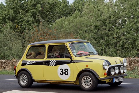 Mini jaune n°38