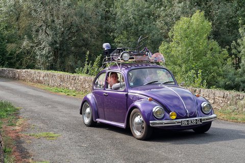 Coccinelle violette « Lila »